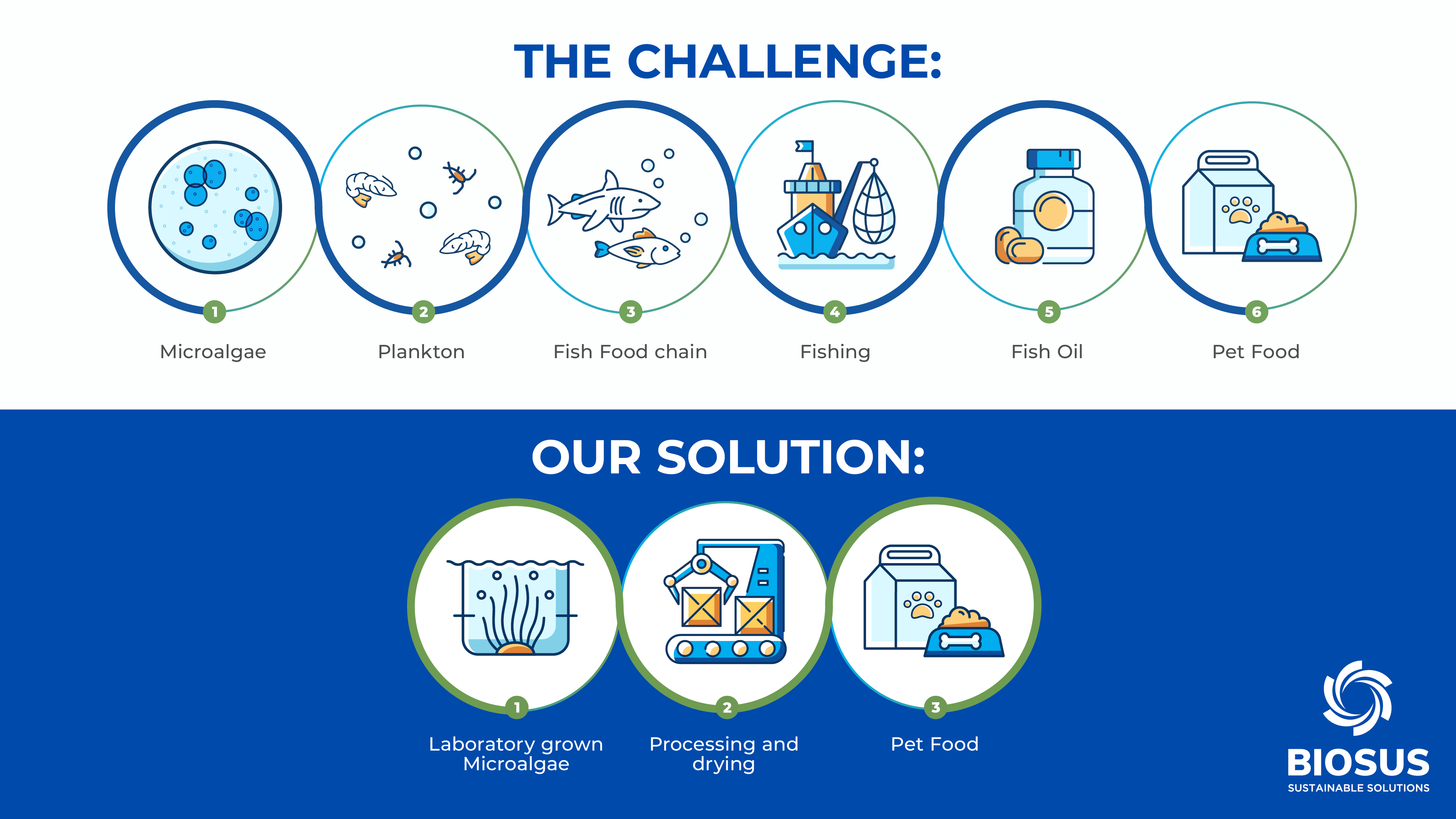 A Sustainable Alternative to Fish Oil