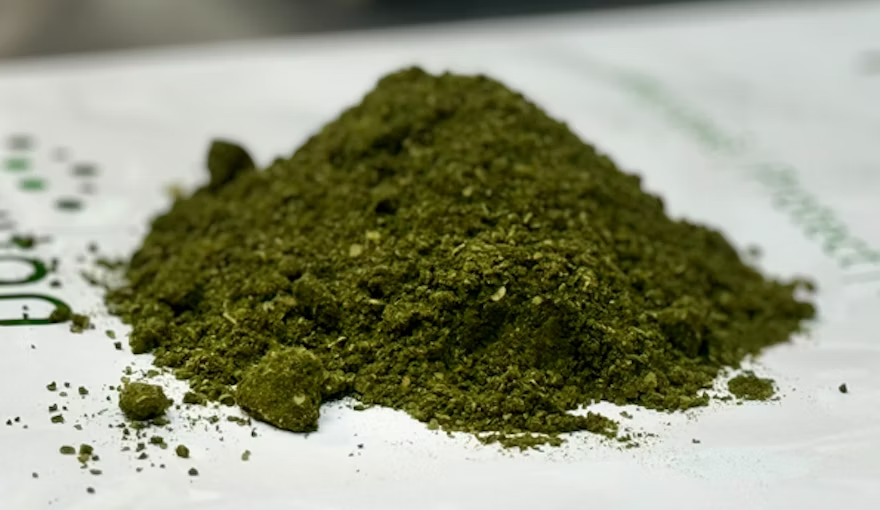 Axitan's Endolysin Technology: A Year of Growth and Innovation in Poultry Health