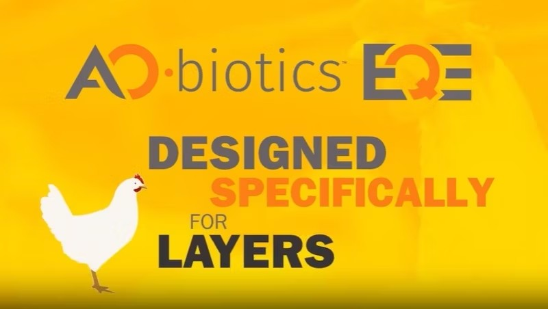 BioZyme Showcases Quality with AO-Biotics® EQE and Expanding Brand Portfolio