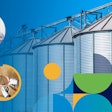 Safer and Smarter Animal Feed Production