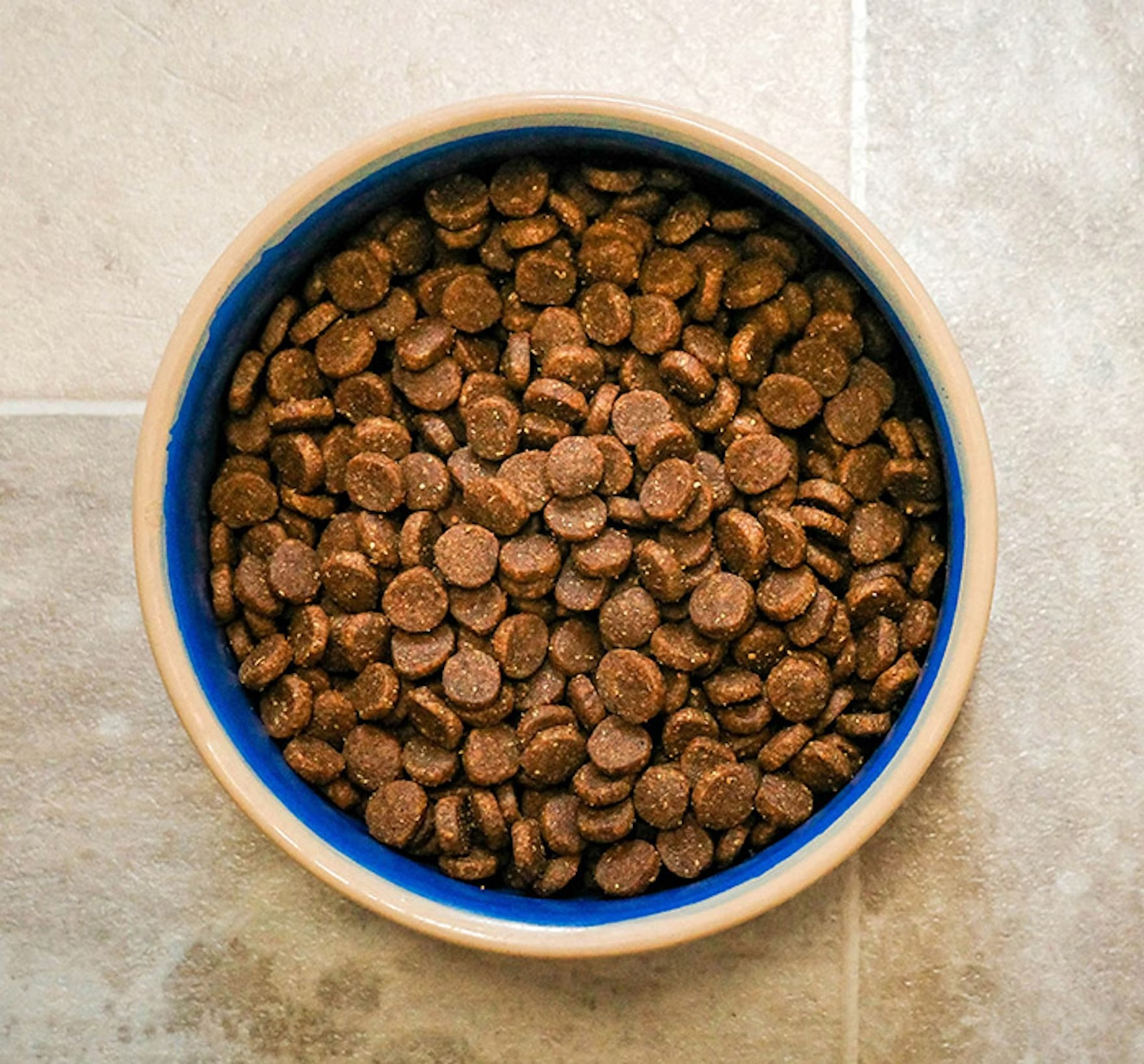 Rethink minerals to boost pet health and build lasting loyalty