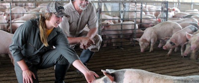 Unlock the Power of Soybean Meal in Swine Production