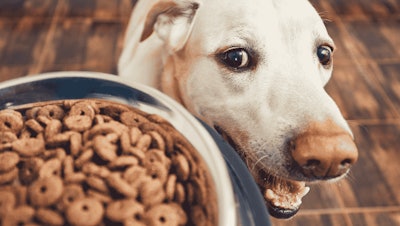 Sustainability Starts with the Formula: How Smarter Formulation Is Shaping the Future of Pet Food Production