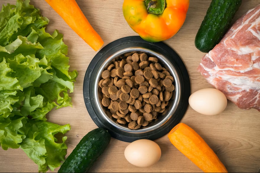 How to address pet food product development priorities