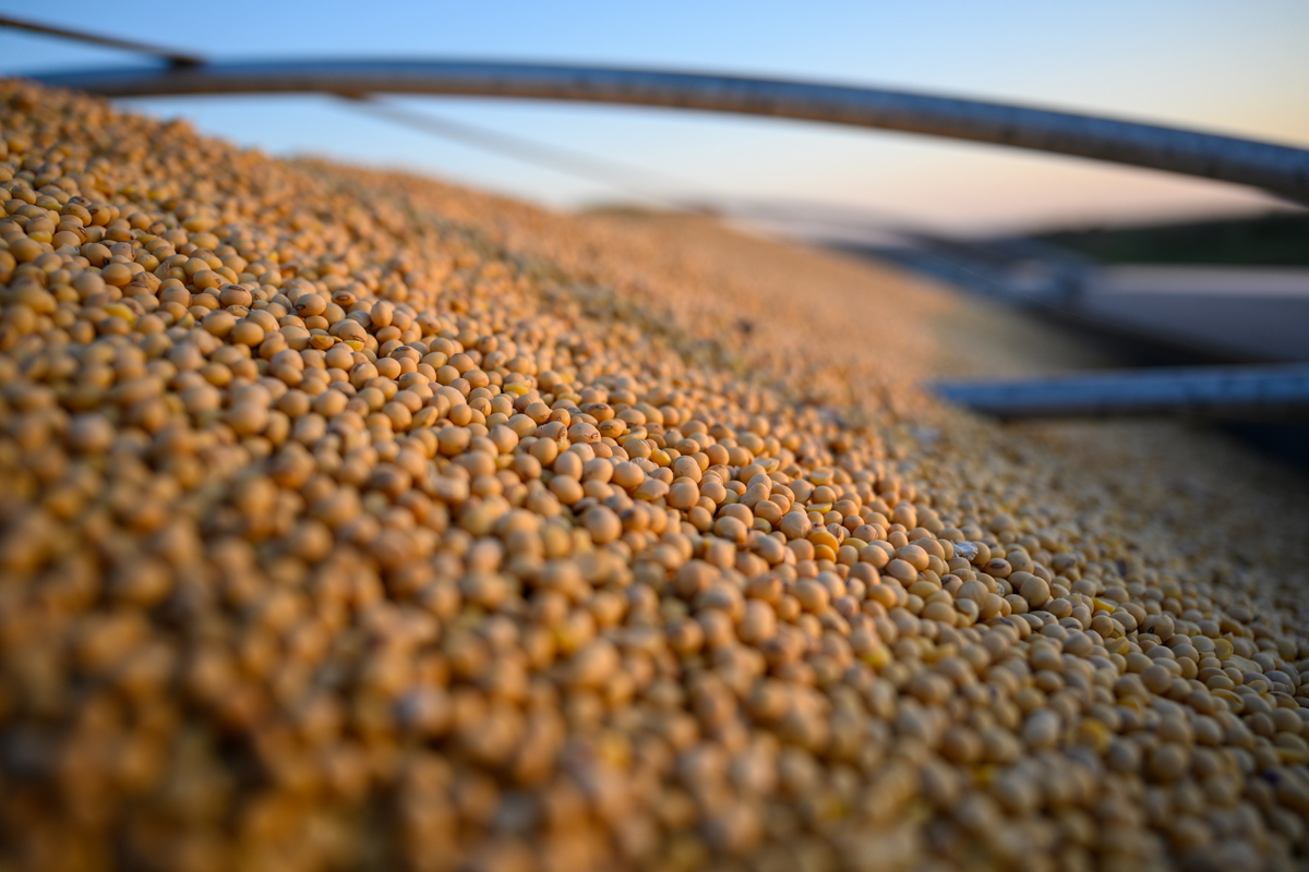 The U.S. Soy Advantage